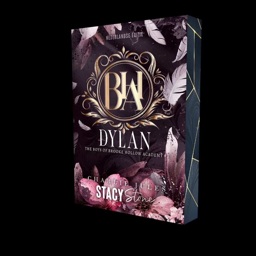 boek dylan stacy stone