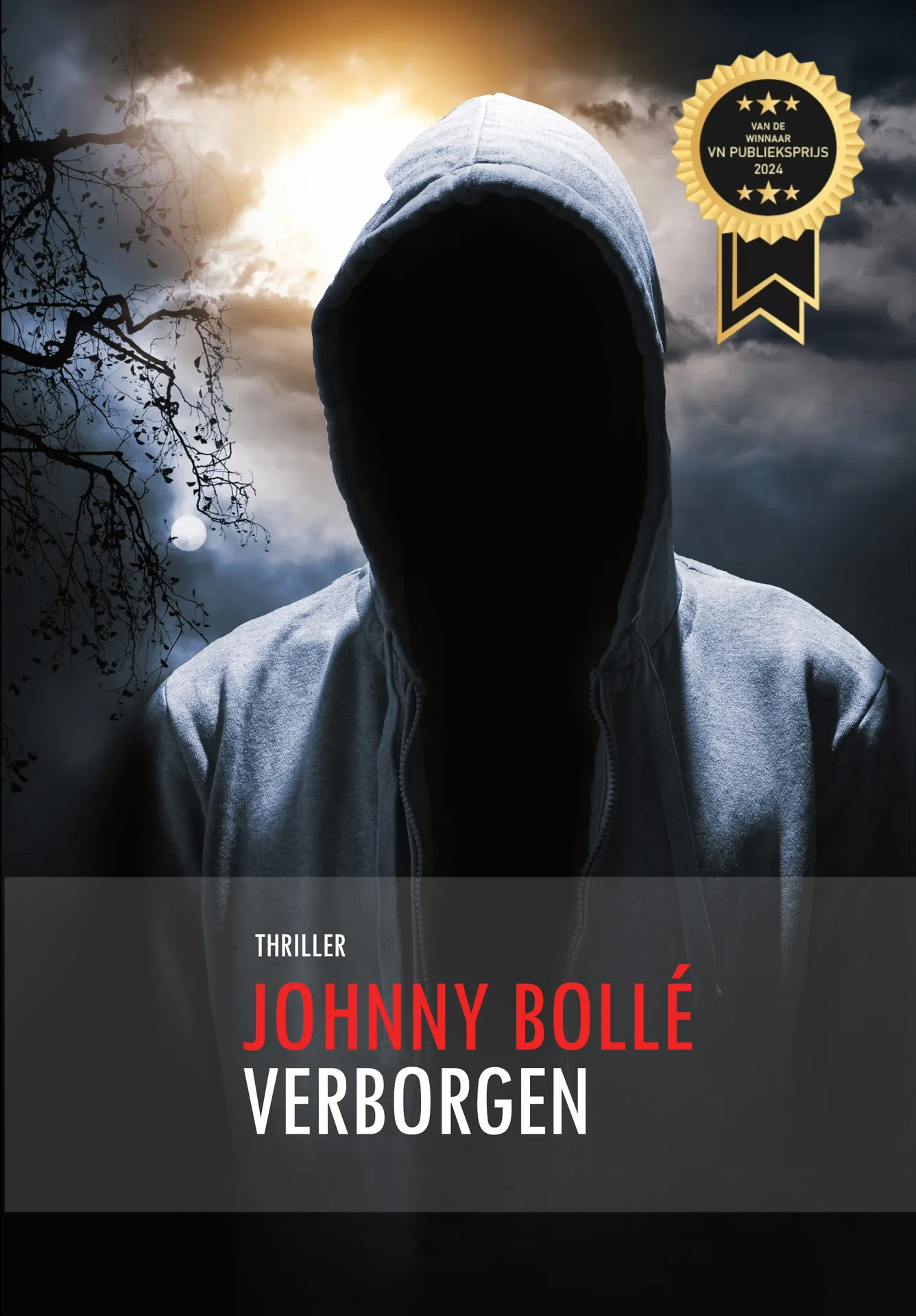 Verborgen - Johnny Bollé